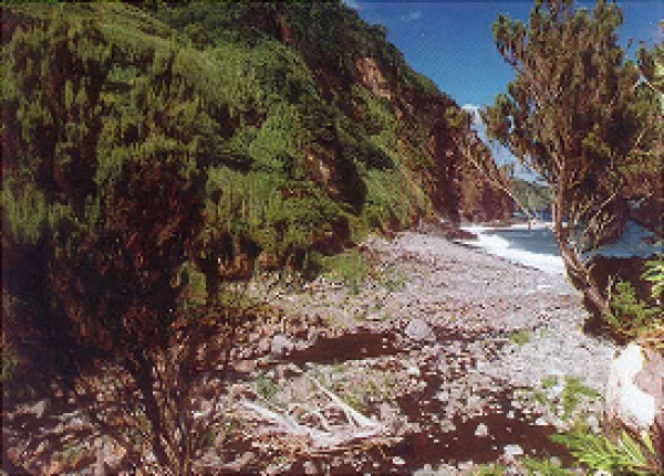 Foz da Ribeira da Cruz – Caveira de Baixo: Caminho do Rabo d’Asno