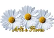 Arte e Flores